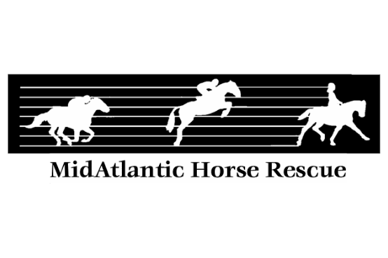 Midatlantic Horse Rescue