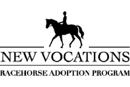 New Vocations